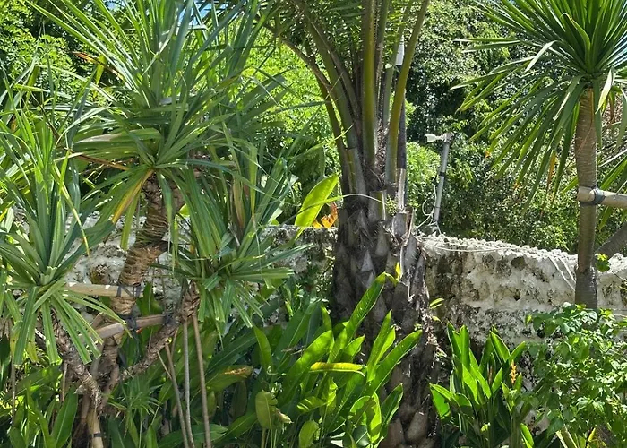 La Paillote Uluwatu